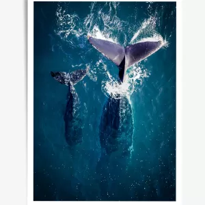 TAILS - WALL ART PRINT